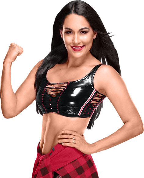 WWE Brie Bella Elite Action Figure - Deluxe Collectible With Ring Gear And Accessories