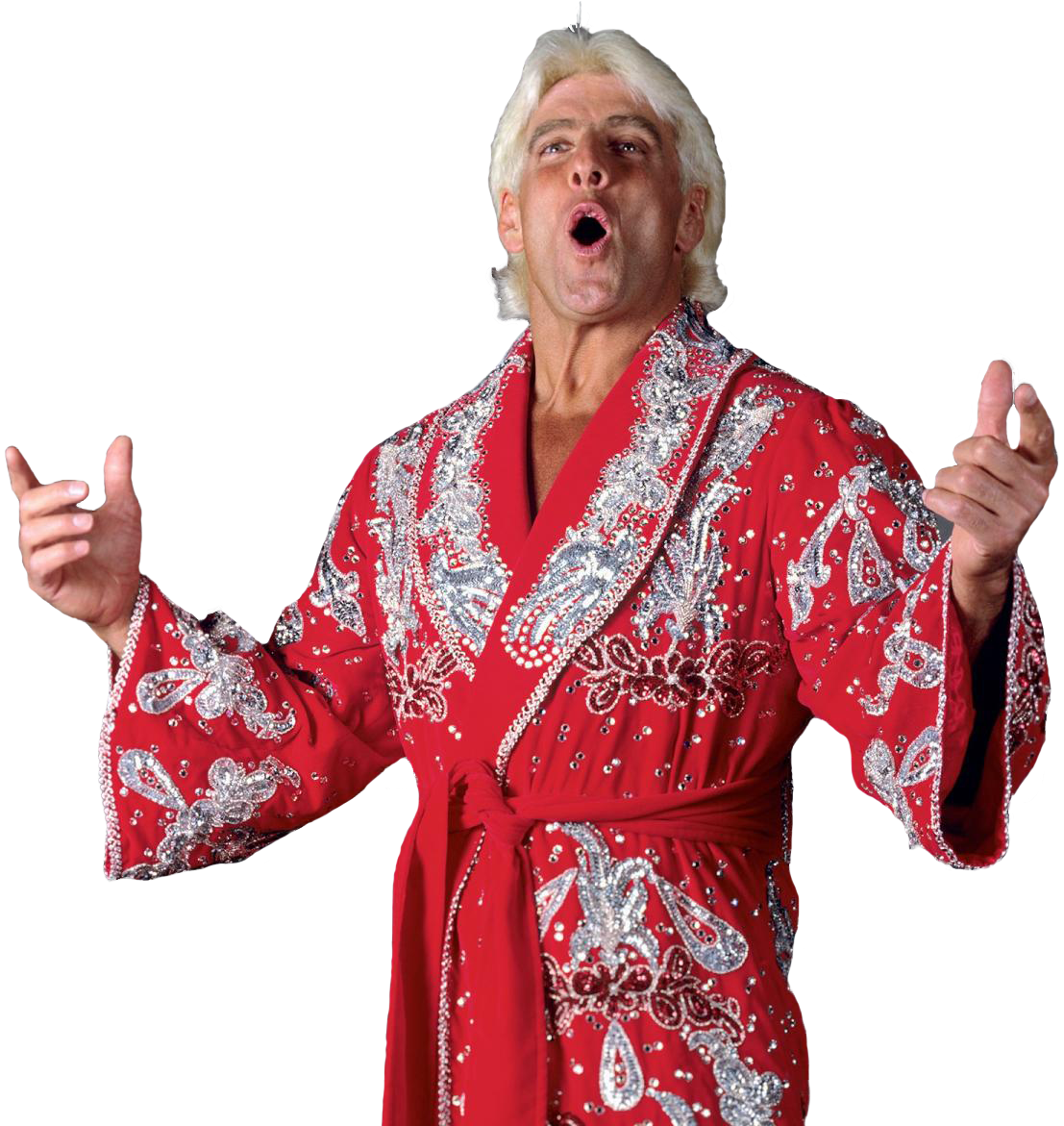 all-ric-flair-wrestling-action-figures-wrestling-figure-database