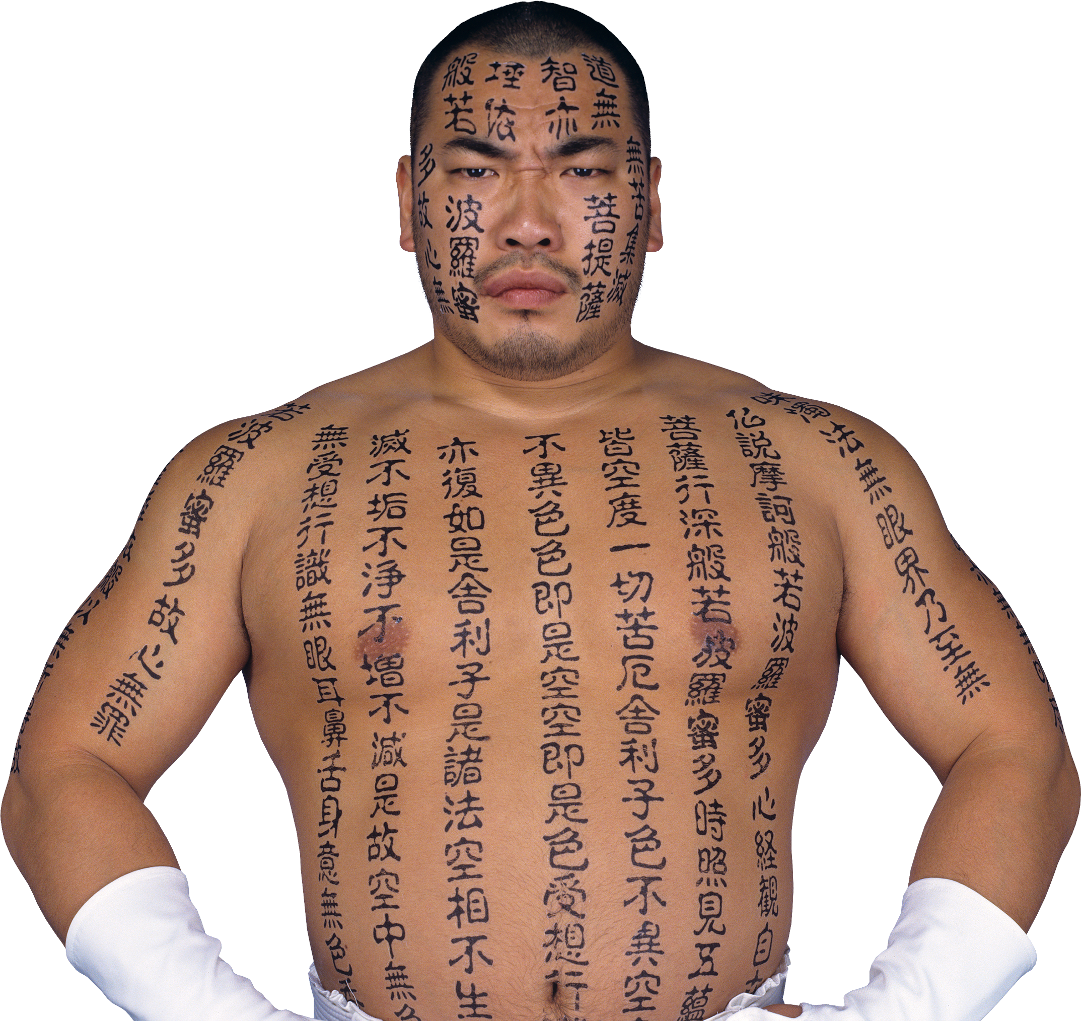 WWE マテル エリート 白使 HAKUSHI カスタムフィギュア WWE マテル WWE マテル エリート 白使 HAKUSHI カスタムフィギュア WWE マテル