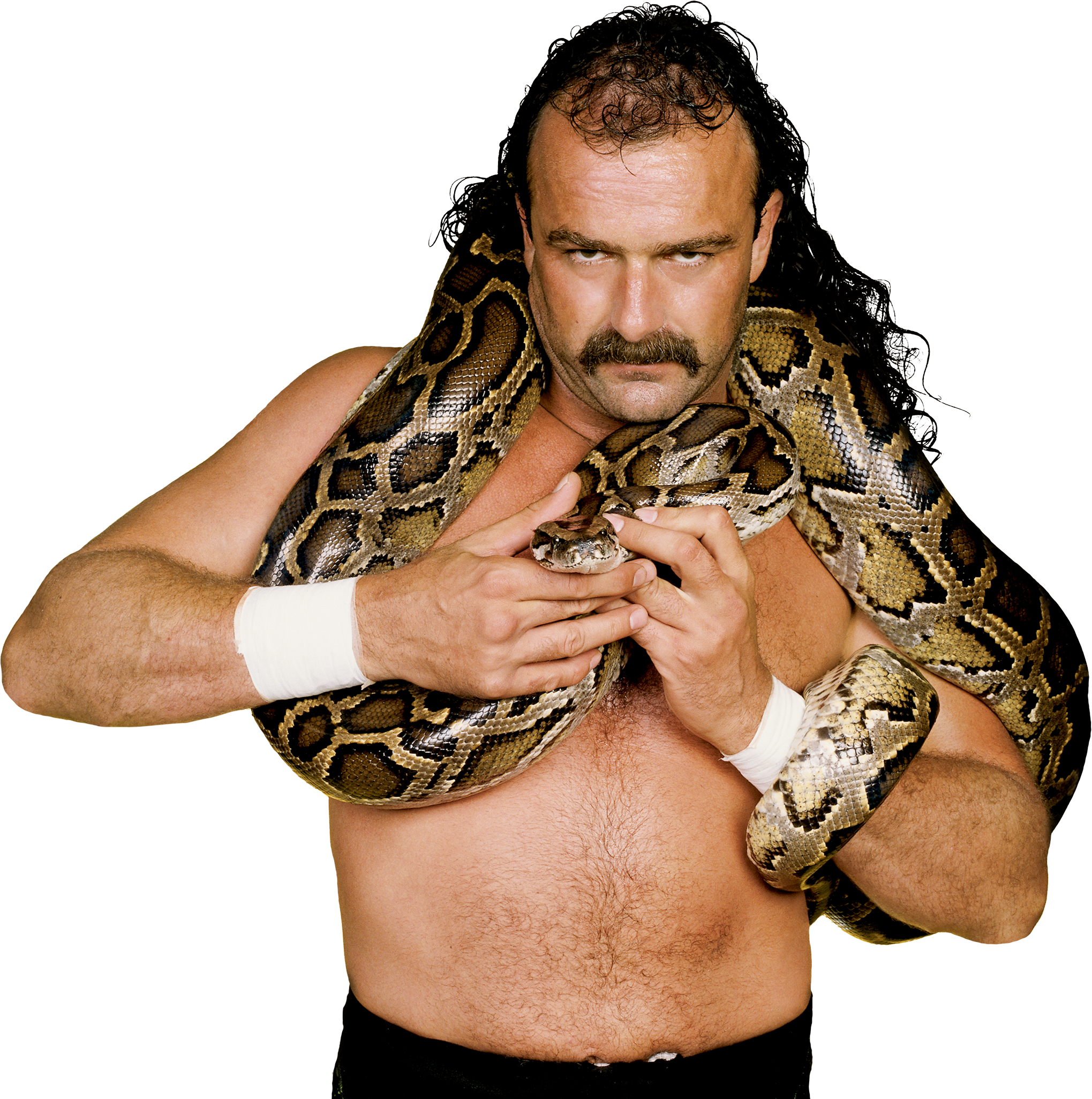 All Jake Roberts Wrestling Action Figures – Wrestling Figure Database