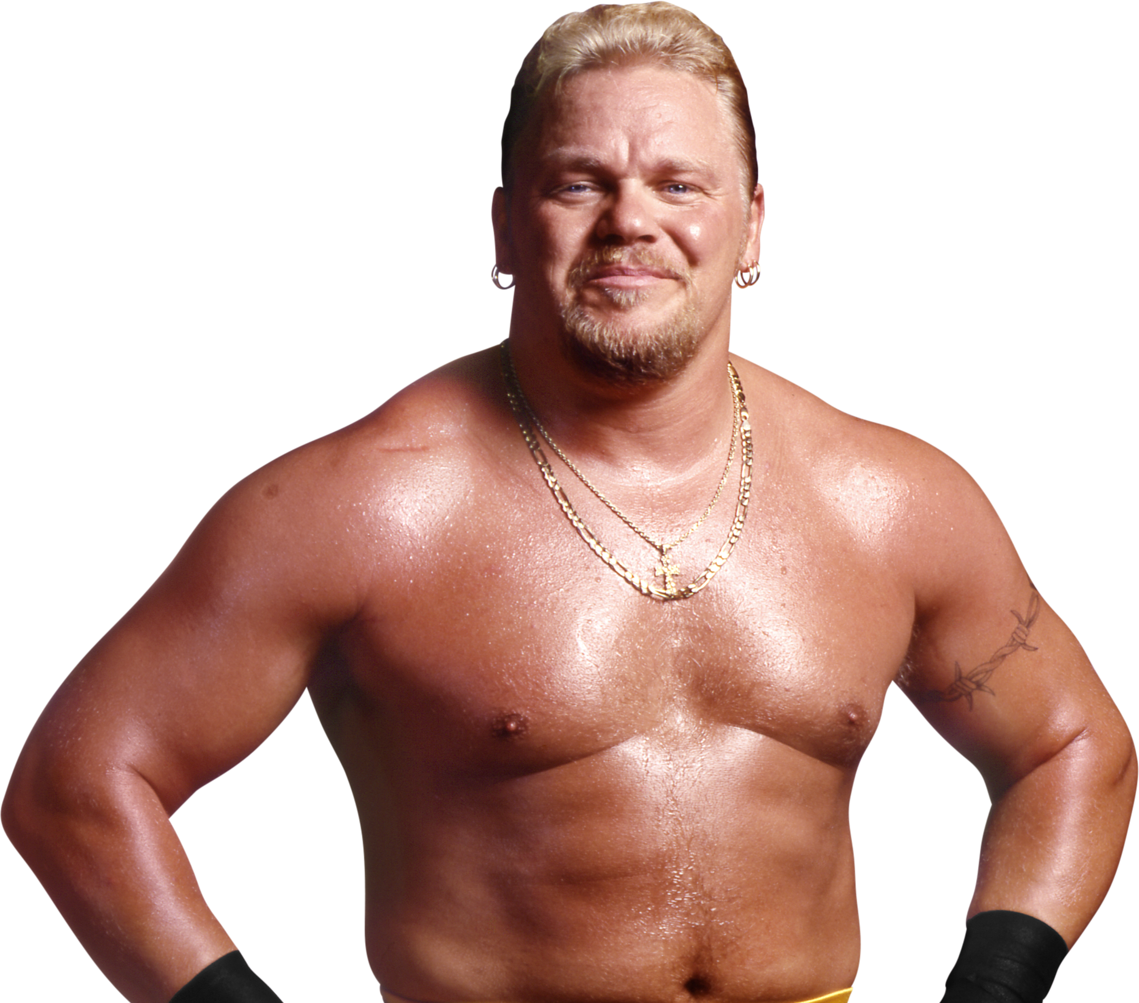All Shane Douglas Wrestling Action Figures – Wrestling Figure Database