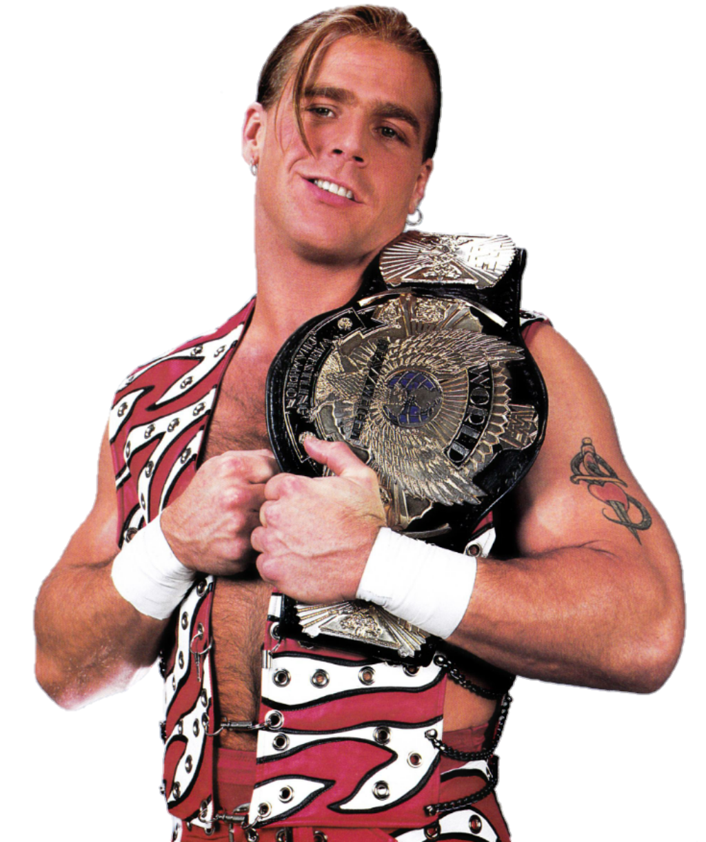 All Shawn Michaels Wrestling Action Figures Wrestling Figure Database