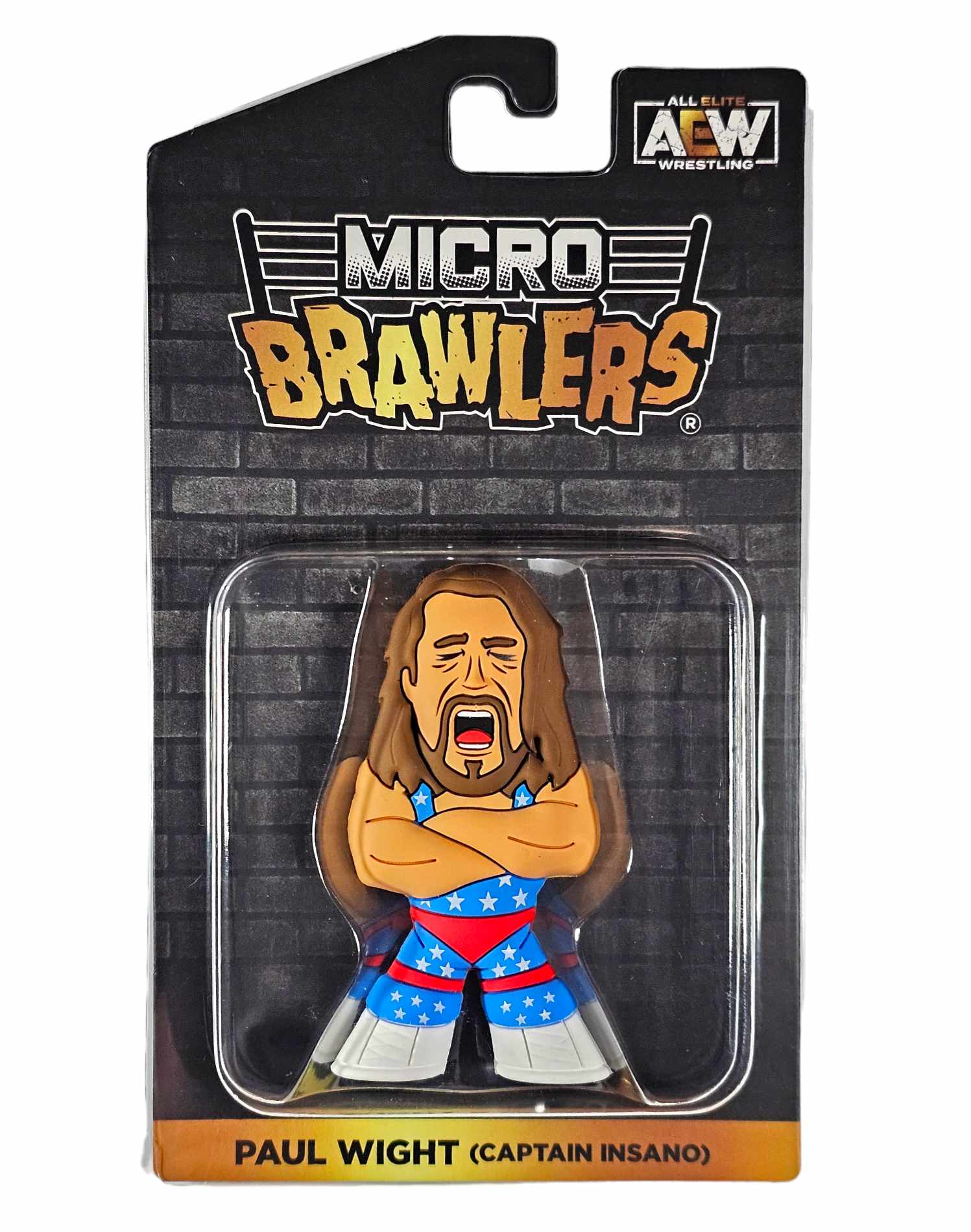 2024 AEW Pro Wrestling Tees Micro Brawlers Limited Edition Paul