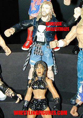 2001 WWF Jakks Pacific Titantron Live Rulers of the Ring Series 3 Raven