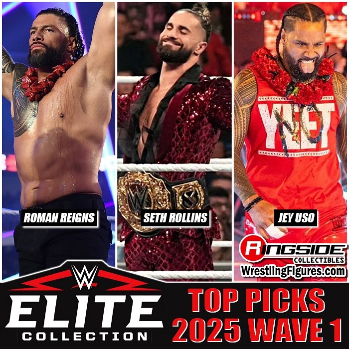 2024 WWE Mattel Elite Collection Top Picks Seth Rollins