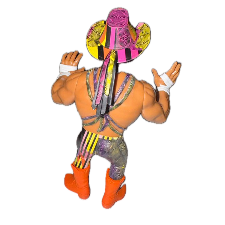 Zombie Sailor's Toys Wrestling's Heels & Faces: The Savage Legacy Collection Macho Man Randy Savage