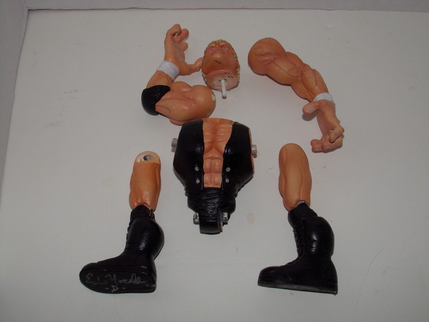 Unreleased WCW Toy Biz Back Talkers Sid Vicious