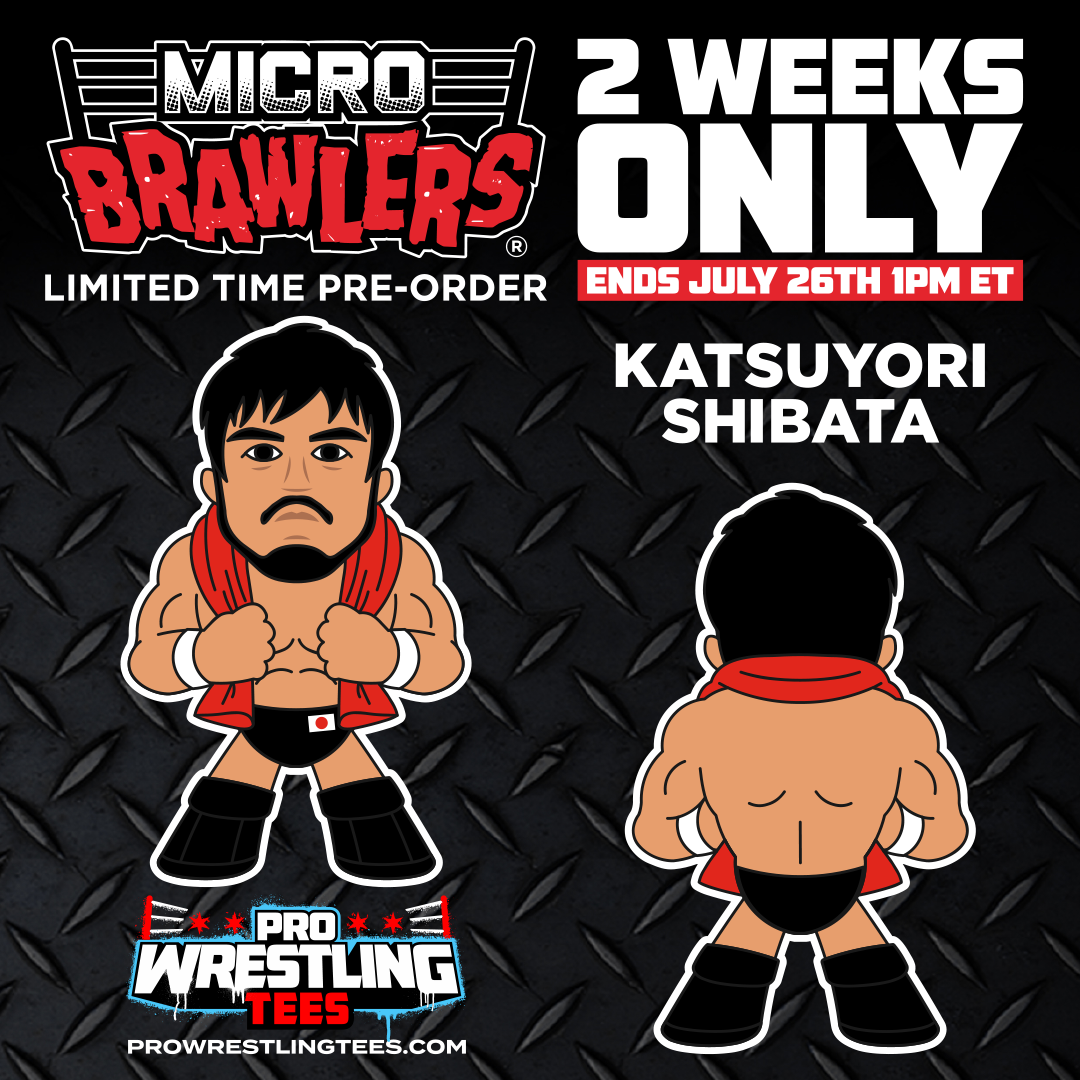 2023 Pro Wrestling Tees Limited Edition Micro Brawler Katsuyori Shibata