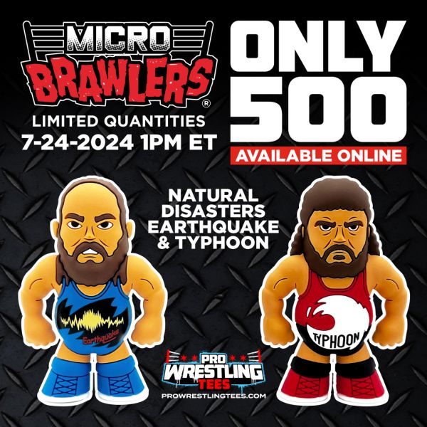 2024 Pro Wrestling Tees Micro Brawlers Tag Team Edition 2 of 2 Natural Disasters: Typhoon