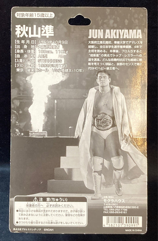 Pro-Wrestling NOAH Mogura House Deluxe Jun Akiyama [In Fighting Pose]