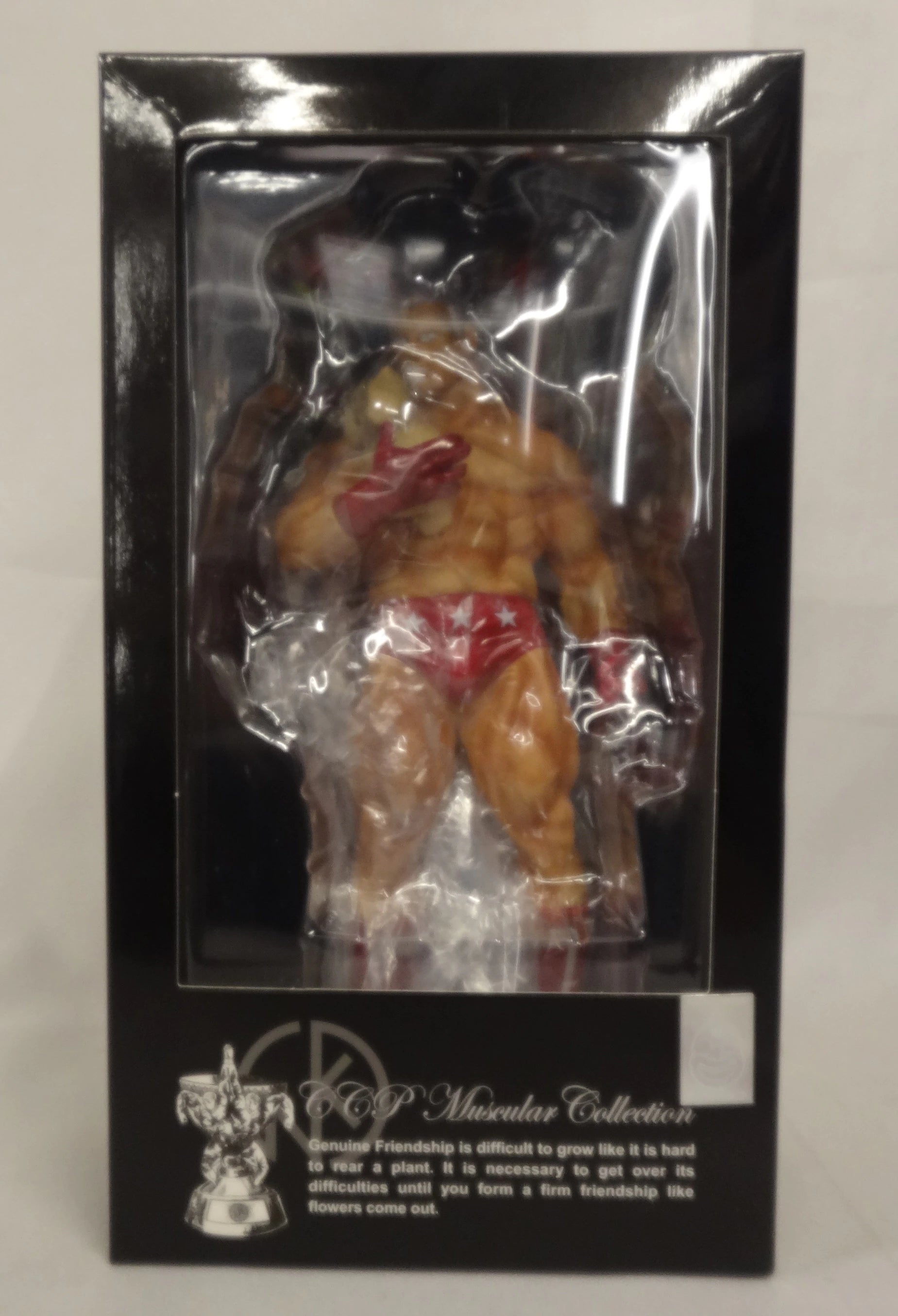 Kinnikuman CCP Muscular Collection Terryman [Chojin Olympic