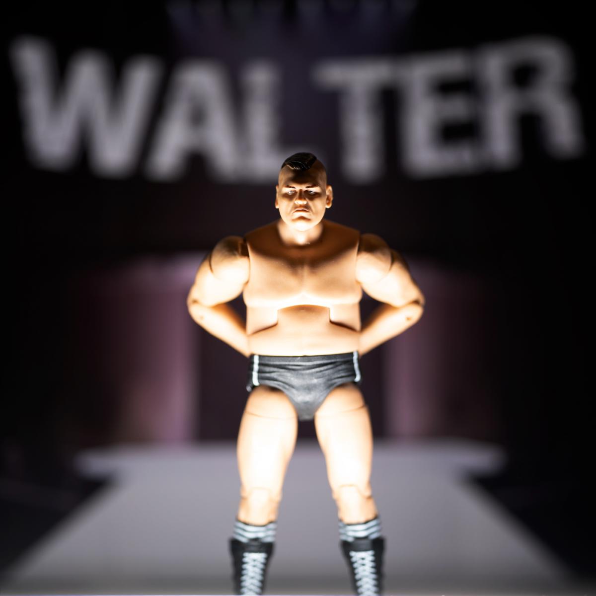 2020 WWE Mattel Elite Collection Ringside Exclusive WALTER