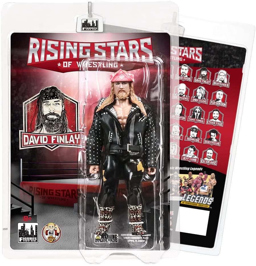 wtaps ファイティングフォース　フィギュア　2体 2022 FTC Rising Stars of Wrestling David Finlay – Wrestling Figure