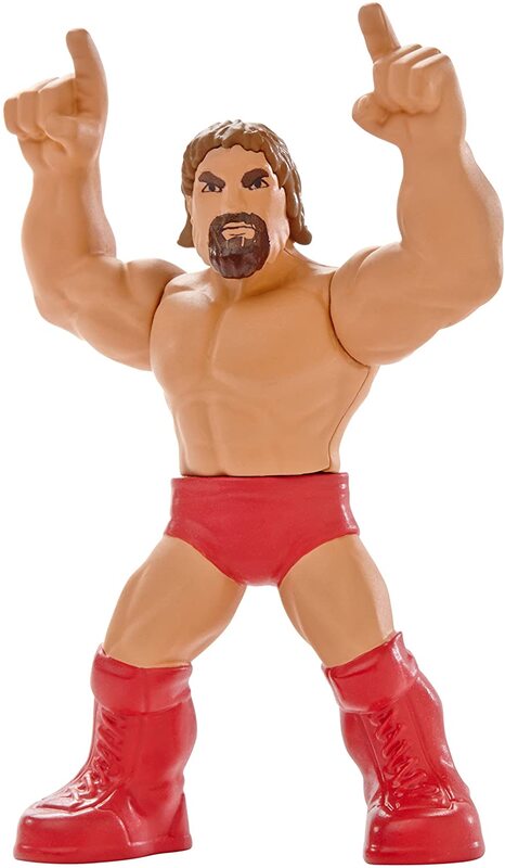 2015 WWE Mattel Mighty Minis Series 1 Daniel Bryan