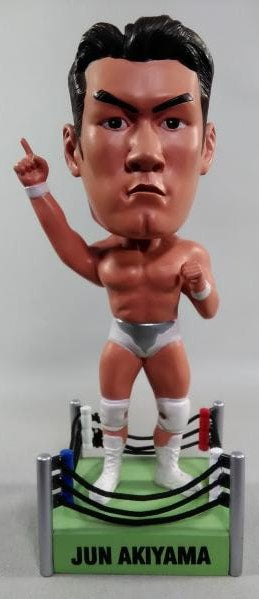 Pro-Wrestling NOAH Mogura House Big Head Series Jun Akiyama
