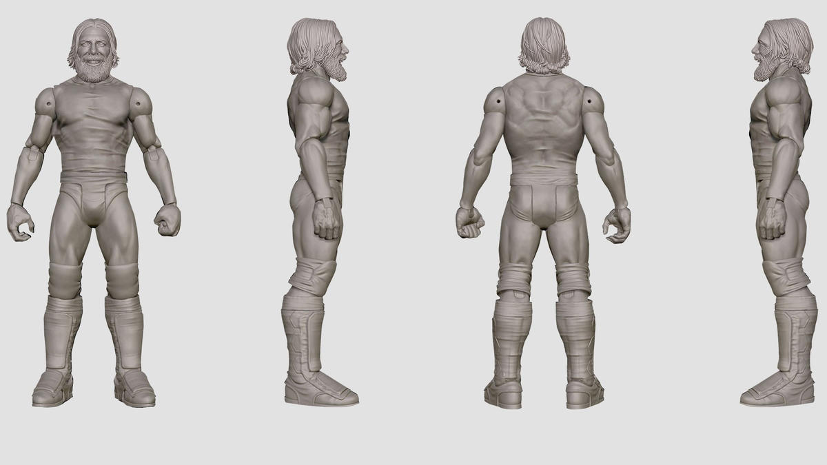 2019 WWE Mattel Basic Series 96 Daniel Bryan