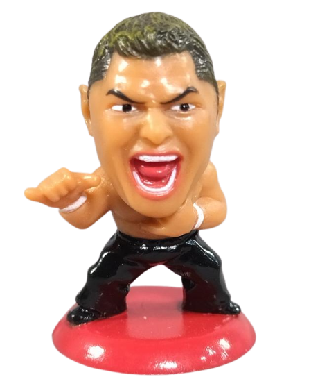 2005 CharaPro Mini Big Heads/Pro-Kaku Heroes Series 4 Taiyo Kea