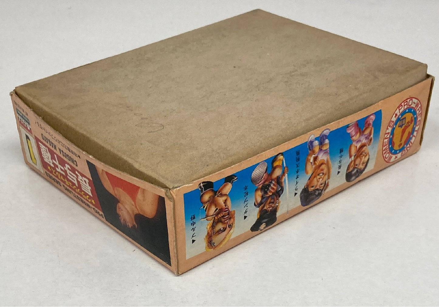 All Japan Women's Pro Wrestling Arii Pro-Wrestling Series Chigusa Nagayo