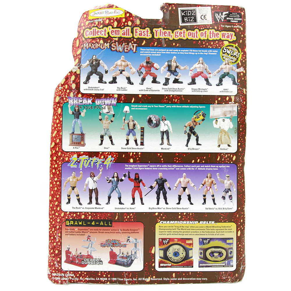 1999 WWF Jakks Pacific Maximum Sweat Series 1 Hunter Hearst-Helmsley