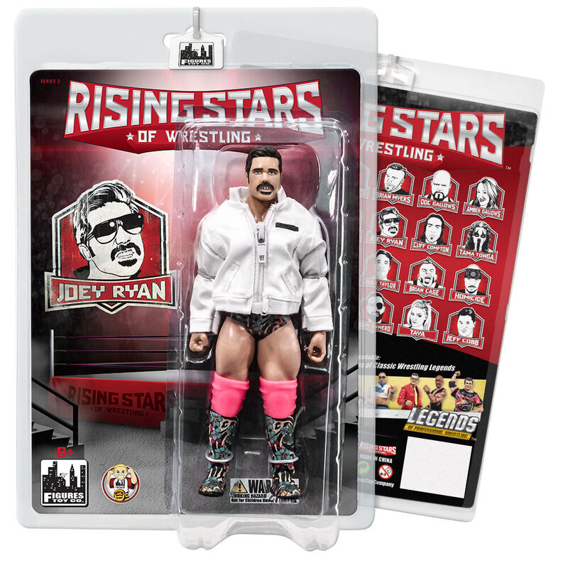 2017 FTC Rising Stars of Wrestling Joey Ryan