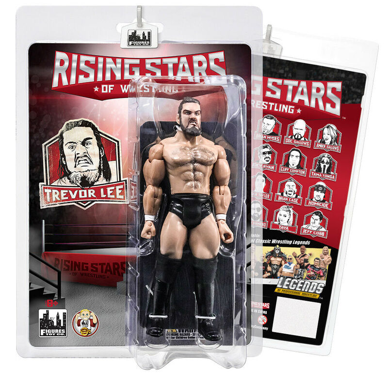 2017 FTC Rising Stars of Wrestling Trevor Lee