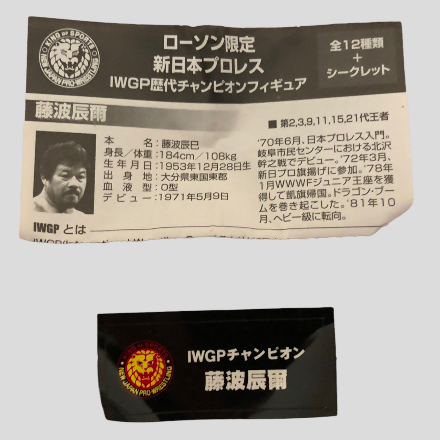 2005 NJPW Asahi Coffee IWGP Past Champions Tatsumi Fujinami