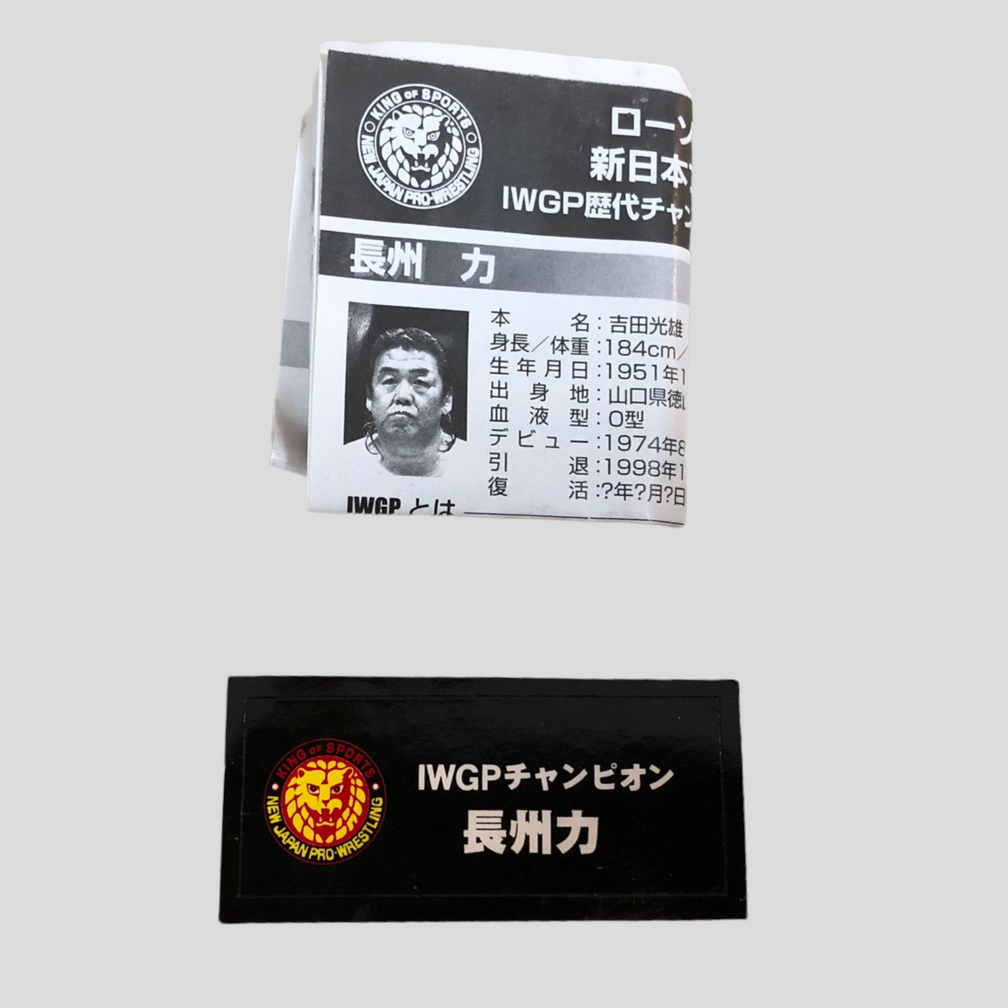 2005 NJPW Asahi Coffee IWGP Past Champions Riki Choshu