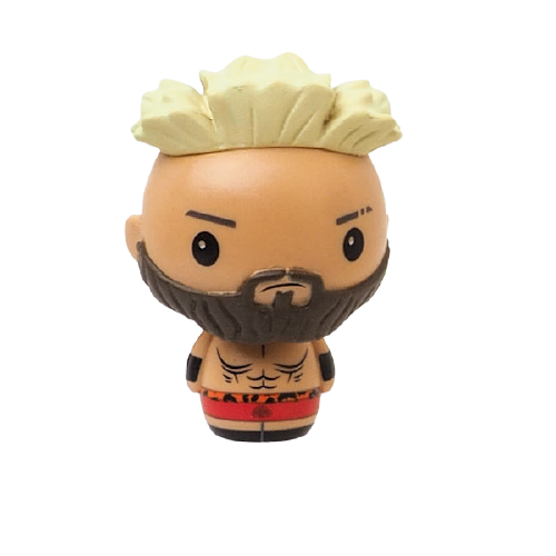 2017 WWE Funko Pint Size Heroes Enzo Amore