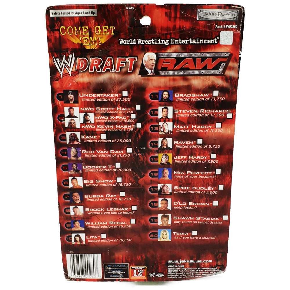 2002 WWE Jakks Pacific Raw Draft R-3 Tech Scott Hall