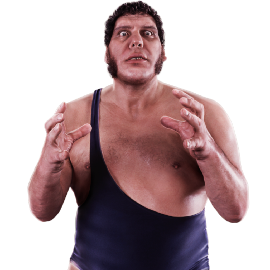 All Andre the Giant Wrestling Action Figures