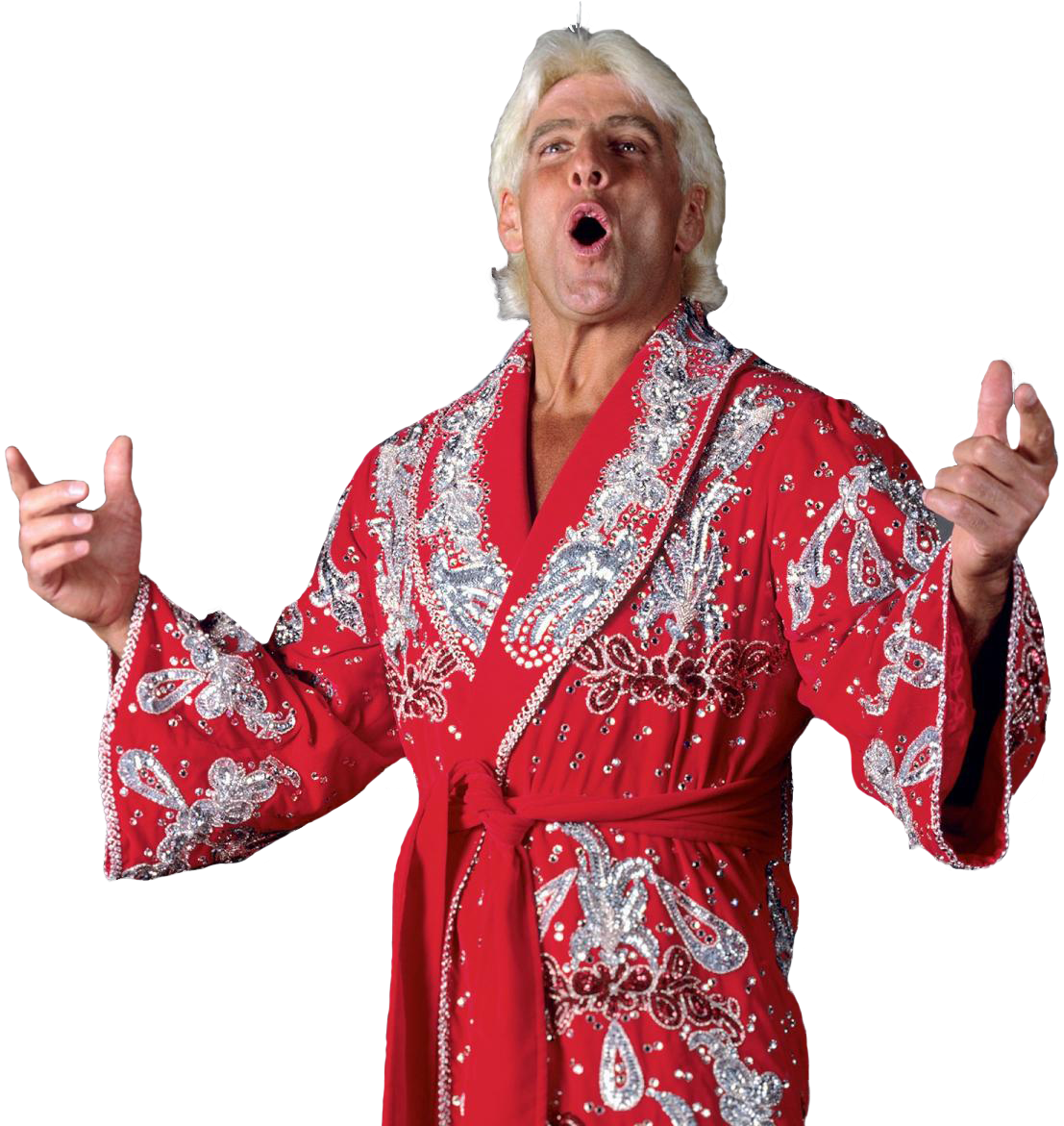 All Ric Flair Wrestling Action Figures