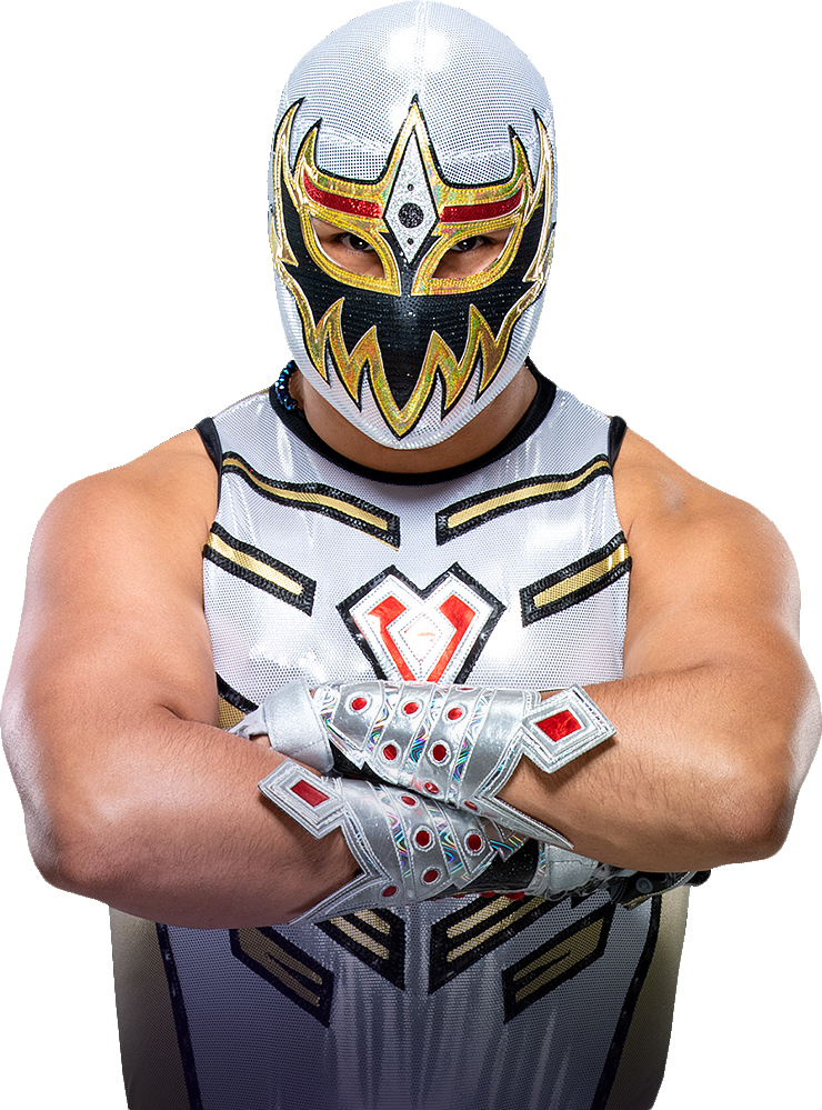 All Mascara Dorada [a.k.a. Gran Metalik] Wrestling Action Figures