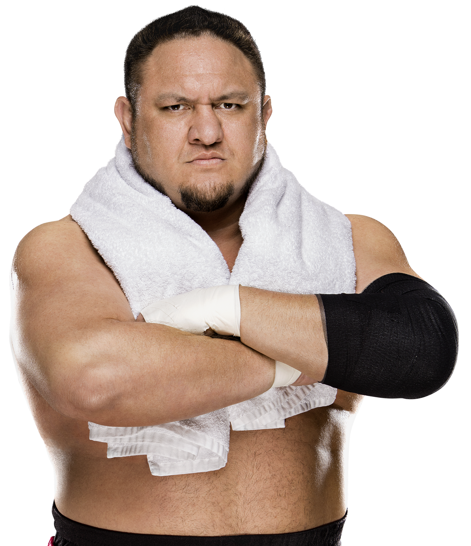 All Samoa Joe Wrestling Action Figures