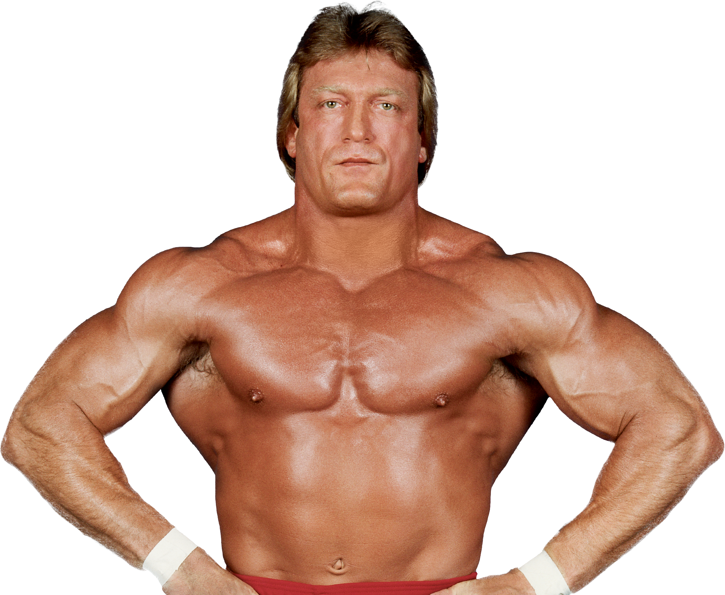 Поле хогане. Paul Orndorff. Paul Orndorff WWE. Paul Orndorff 2021. Пол Орндорфф 2021.