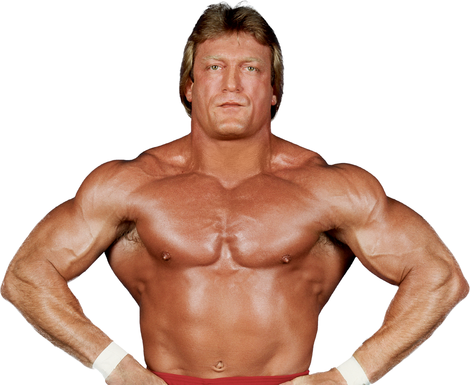 All Paul Orndorff Wrestling Action Figures