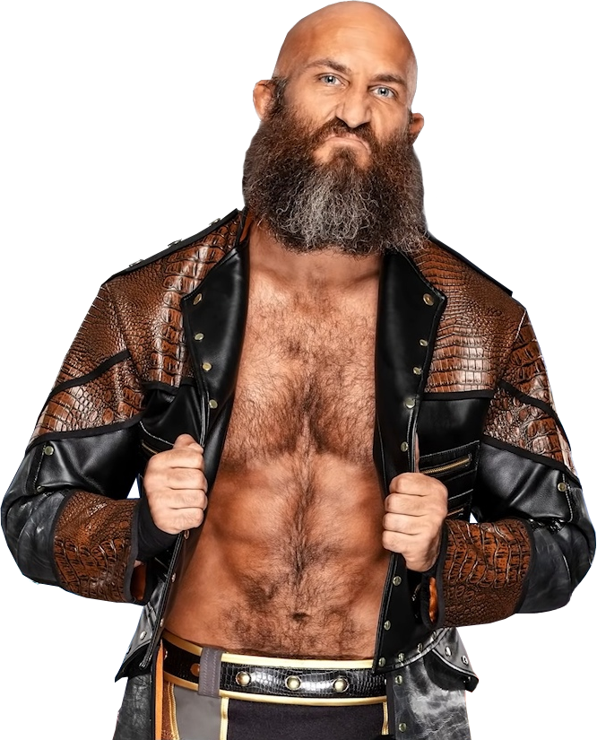 All Tommaso Ciampa Wrestling Action Figures