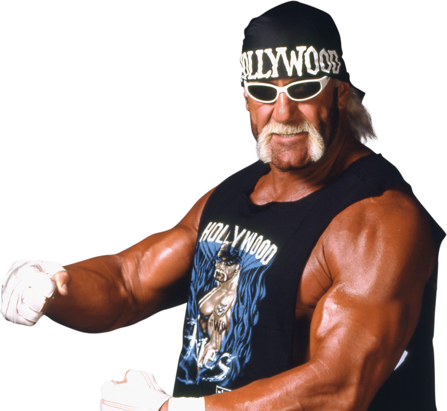 All Hollywood Hogan Wrestling Action Figures