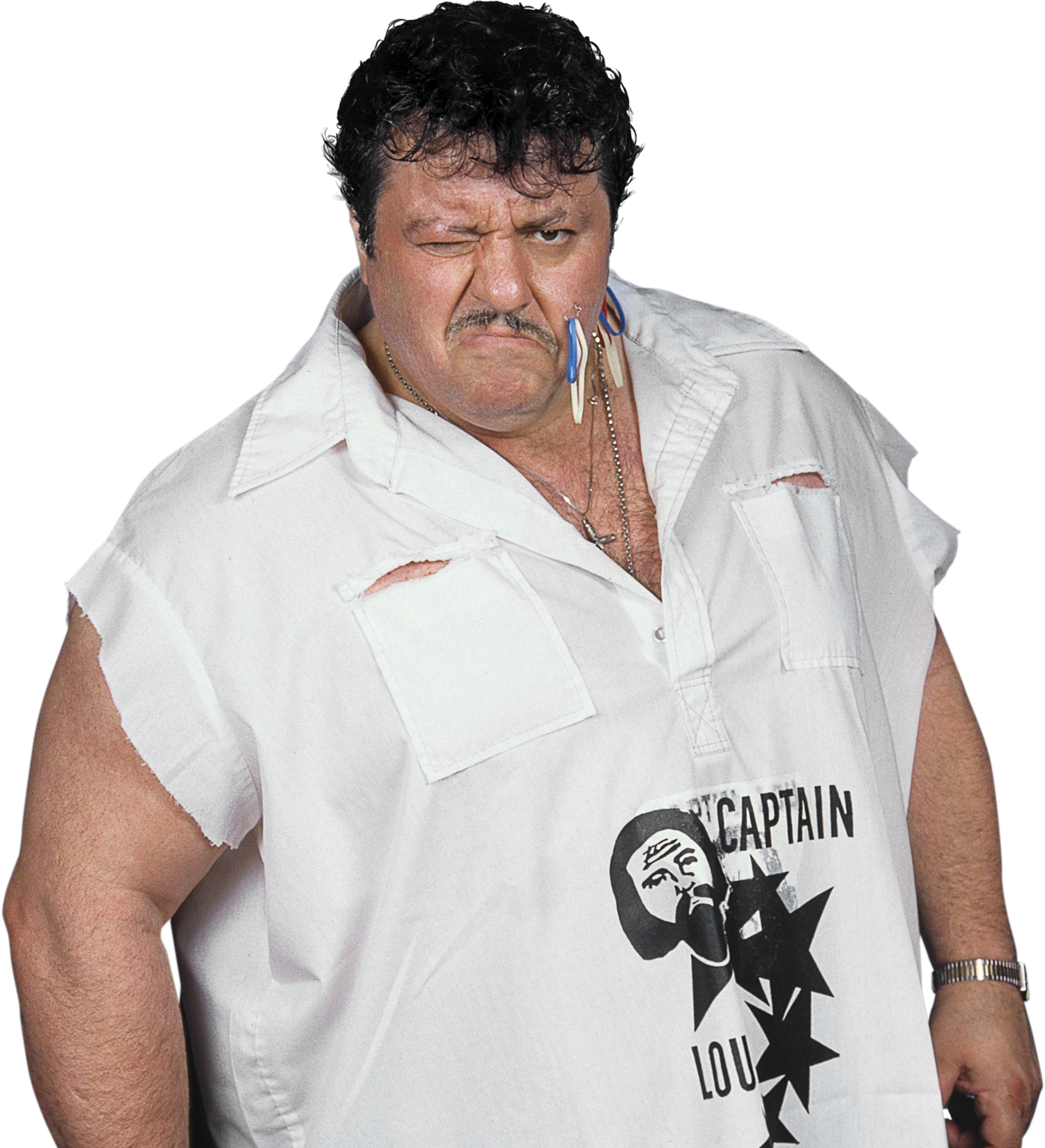 All Lou Albano Wrestling Action Figures