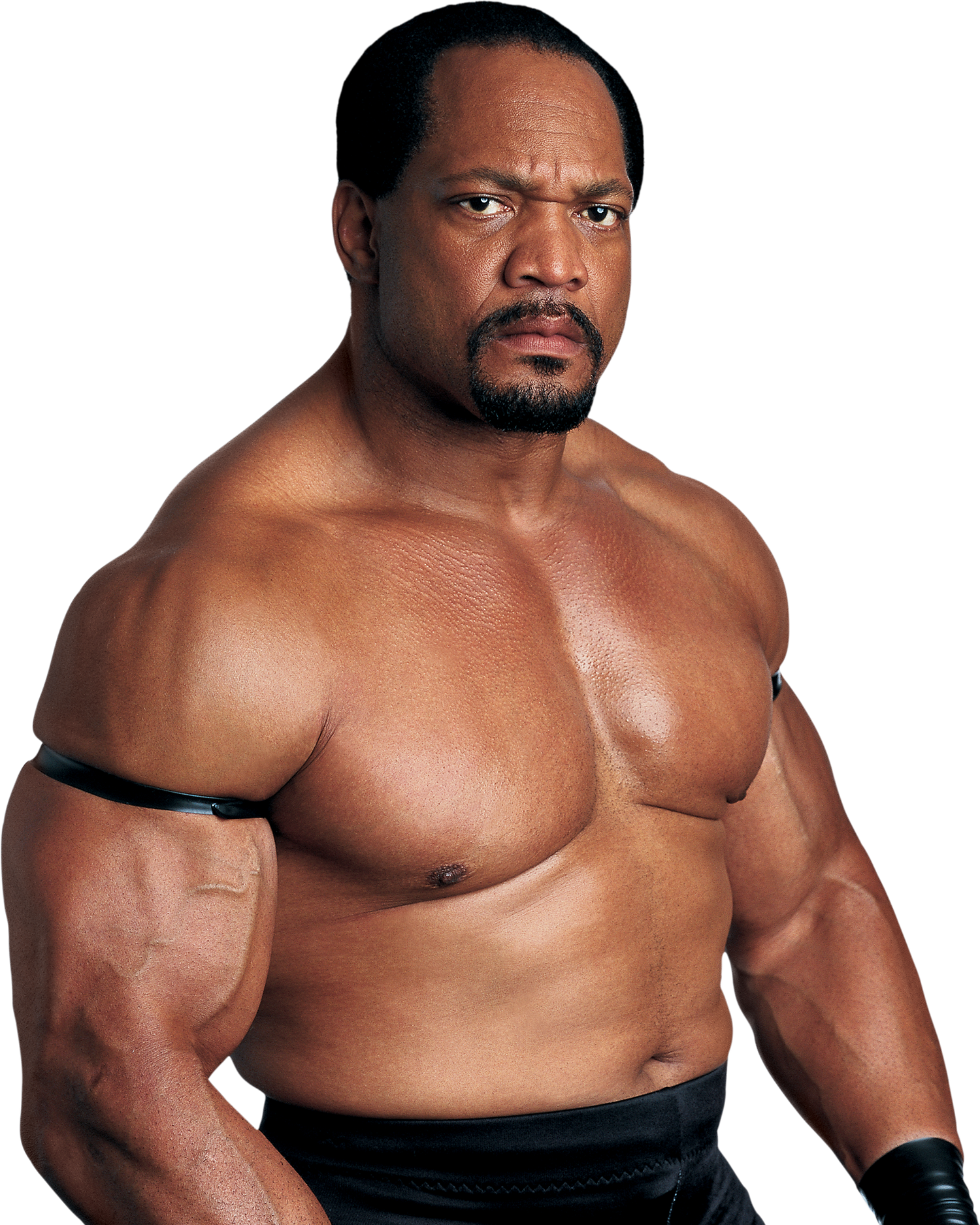 All Ron Simmons Wrestling Action Figures