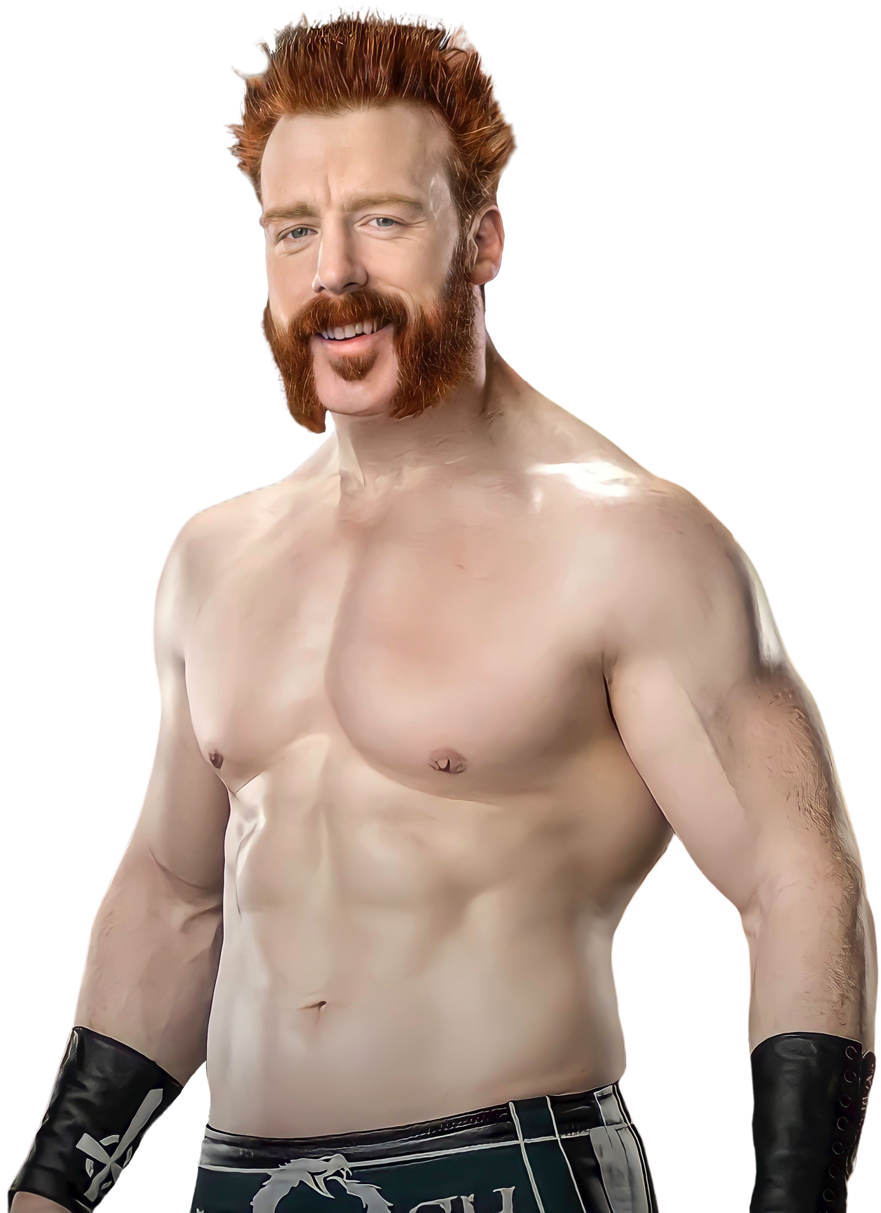 All Sheamus Wrestling Action Figures