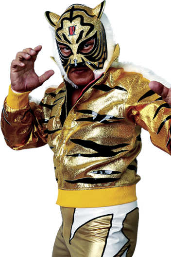 All Tiger Mask Wrestling Action Figures