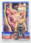 Wrestling Champions Bootleg/Knockoff Hollywood Hogan