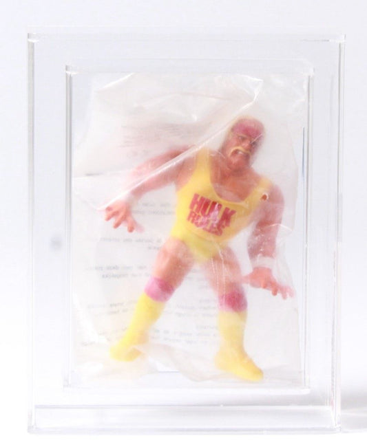 1991 WWF Hasbro Silver Vision Mailaway Hulk Hogan