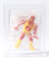 1991 WWF Hasbro Silver Vision Mailaway Hulk Hogan