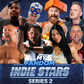 My Fandom Collectibles Indie Stars Series 2 Indi Hartwell