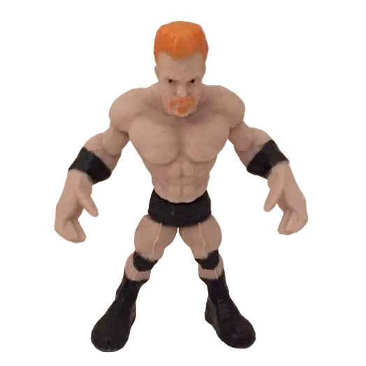2015 WWE Bulls-i-Toy Eraseez Collectible Puzzle Eraser Sheamus