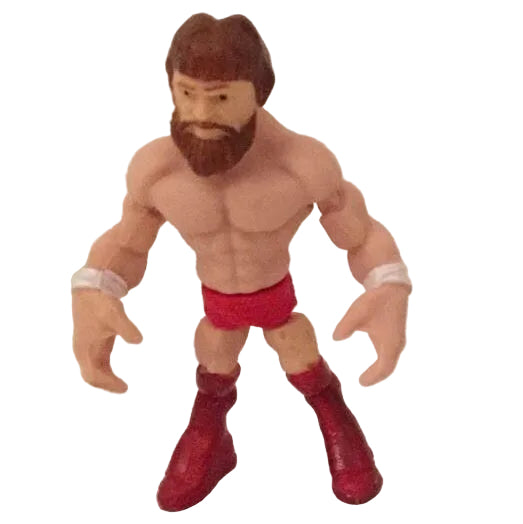 2015 WWE Bulls-i-Toy Eraseez Collectible Puzzle Eraser Daniel Bryan