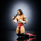 2025 WWE Mattel Elite Collection Royal Rumble Series 7 CM Punk
