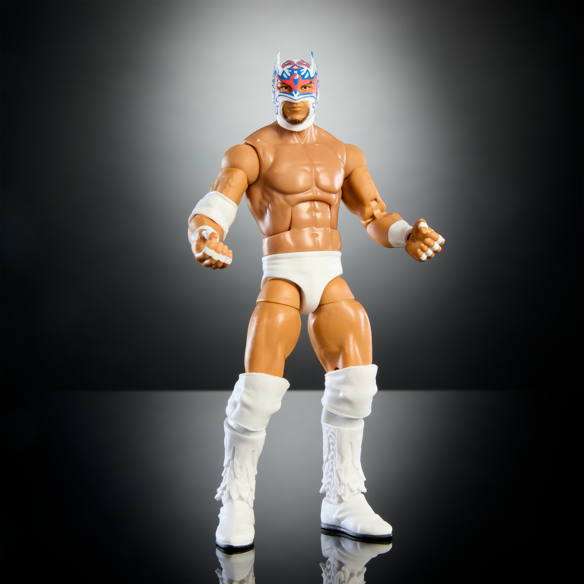 2024 WWE Mattel Elite Collection Series 113 Dragon Lee – Wrestling 2024 WWE Mattel Elite Collection Series 113 Dragon Lee – Wrestling