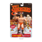 2026 Mattel LJN WWE Superstars Series 2 Ultimate Warrior [Exclusive, Chase]
